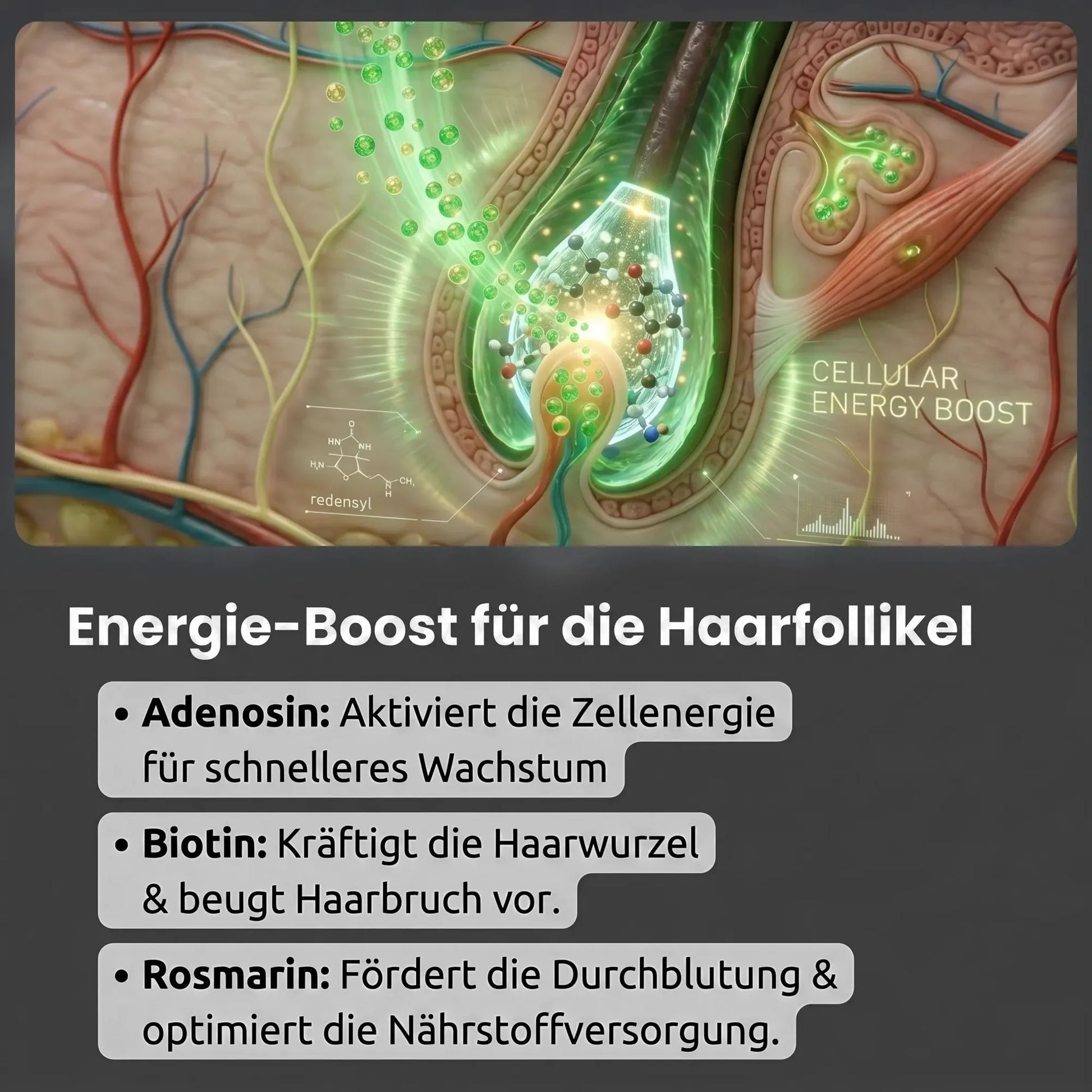 Biotin + Rosmarin MEN Schaum-Haarwuchs Aktivator Schaum-Hiluva